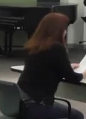 Lynda Rubin SRC testimony pic May 25, 2017